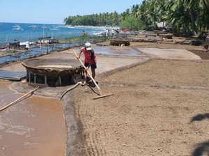 Punya Daya Tarik, Desa Les di Bali Utara Tawarkan Keindahan Alam-Budaya