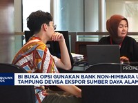BI Buka Opsi Gunakan Bank Non-Himbara Tampung DHE SDA