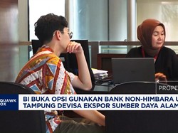 BI Buka Opsi Gunakan Bank Non-Himbara Tampung DHE SDA