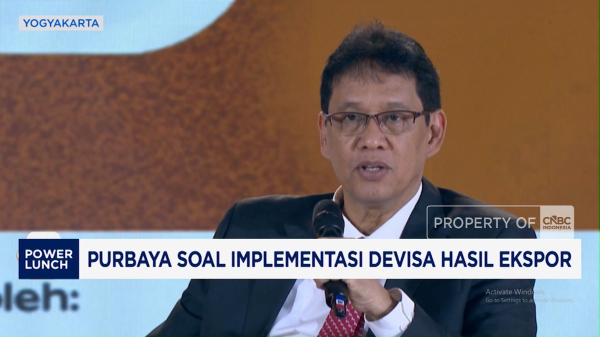 Video: Purbaya Ungkap Alasan Prabowo Bentuk BUMN Khusus Ekspor