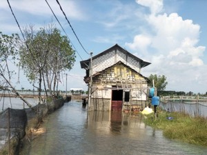 Desa Tunggulsari Pati Kena Banjir Rob, 69 Rumah Terdampak