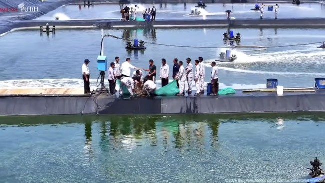 Prabowo Pamer Capaian 19 Bulan, Sebut Tunda Bangun Kantor-Kantor