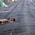 Gelombang panas India. (Reuters File)