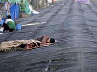 Gelombang panas India. (Reuters File)