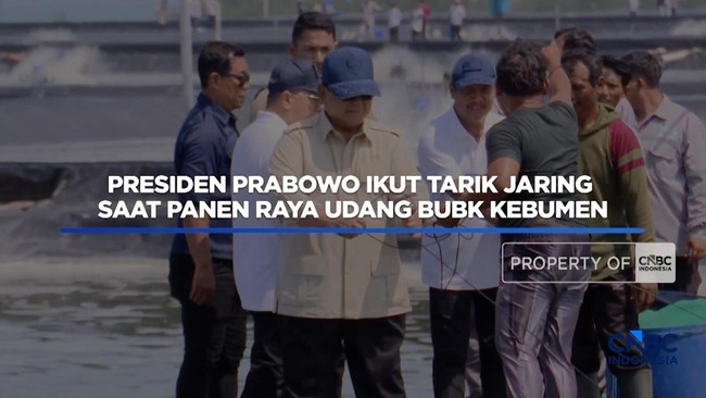 Presiden Prabowo Ikut Tarik Jaring Saat Panen Raya Udang di Kebumen