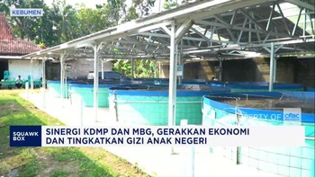 KDMP Sidomukti Pasok Ikan Nila ke Dapur MBG di Kebumen
