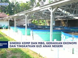 KDMP Sidomukti Pasok Ikan Nila ke Dapur MBG di Kebumen