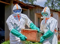 Para pekerja Palang Merah yang mengenakan alat pelindung diri (APD) membawa peti mati berisi jenazah seorang anak yang meninggal karena Ebola, sementara lembaga-lembaga bantuan meningkatkan upaya untuk menahan wabah Ebola baru yang melibatkan strain