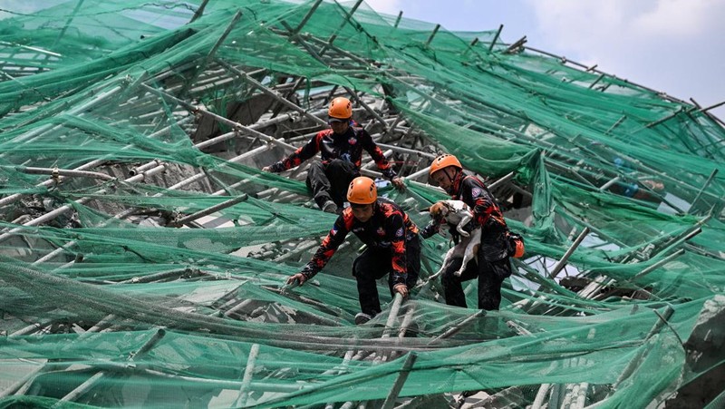 Petugas penyelamat menggunakan anjing pelacak untuk mencari korban selamat yang terjebak di antara reruntuhan bangunan sembilan lantai yang runtuh di Balibago, Angeles City, Pampanga, Filipina, 25 Mei 2026.