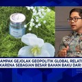 Sasar Pasar Premium & Ekspor, Sarang Burung Walet RI Tahan Guncangan Global