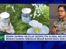 Sasar Pasar Premium & Ekspor, Sarang Burung Walet RI Tahan Guncangan Global