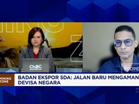 Negara Rugi Rp 15.400 Triliun Akibat Ekspor Bocor, PT DSI Jadi Solusi