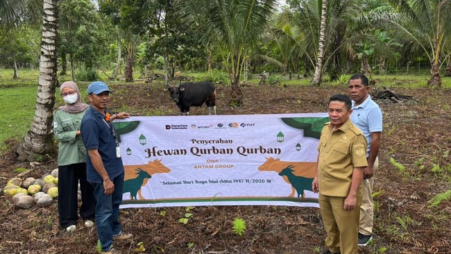 ANTAM Salurkan Ratusan Hewan Kurban ke Berbagai Wilayah Operasional
