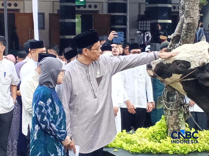 Menteri Keuangan, Purbaya Yudhi Sadewa. (CNBC Indonesia/Robertus Andrianto)