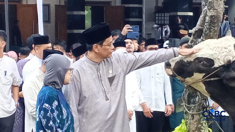 Penyerahan Sapi Purbaya Simental 868kg asal blora dari Menkeu Purbaya Yudhi Sadewa ke ketua panitia kurban Suminto.(CNBC Indonesia/Robertus Andrianto)