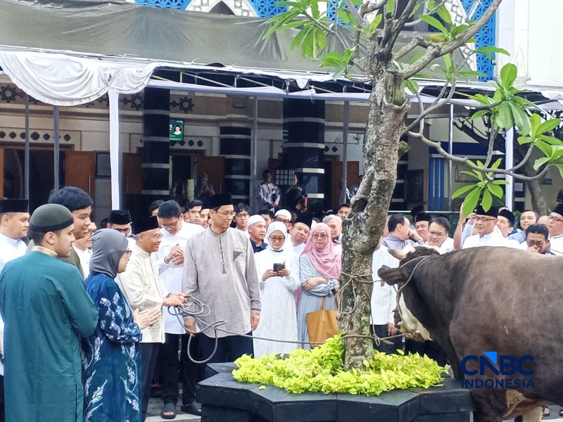 Menteri Keuangan, Purbaya Yudhi Sadewa. (CNBC Indonesia/Robertus Andrianto)