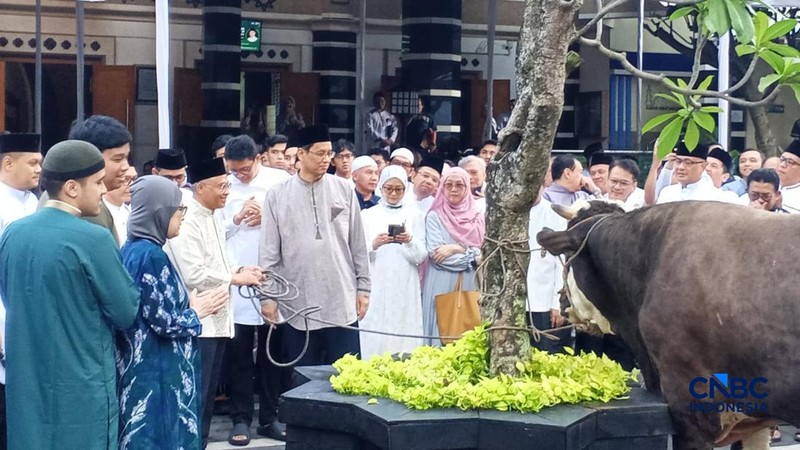 Penyerahan Sapi Purbaya Simental 868kg asal blora dari Menkeu Purbaya Yudhi Sadewa ke ketua panitia kurban Suminto.(CNBC Indonesia/Robertus Andrianto)