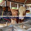 Kementan Sebut Stok Hewan Kurban 2026 Melimpah