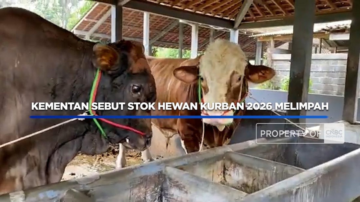Video: Kementan Sebut Stok Hewan Kurban 2026 Melimpah