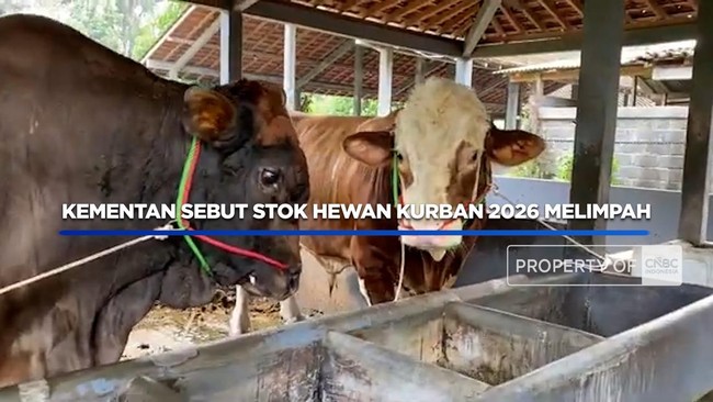 Video: Kementan Sebut Stok Hewan Kurban 2026 Melimpah