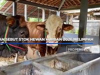 Kementan Sebut Stok Hewan Kurban 2026 Melimpah