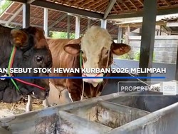Kementan Sebut Stok Hewan Kurban 2026 Melimpah