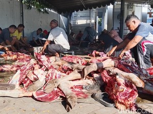 Masjid Al-Amin Weri Sembelih Sapi Gubernur NTT, Bagikan 800 Kantong Daging