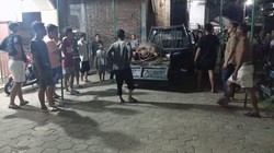 Geger Kerbau Kurban di Kudus Lepas Seruduk 2 Pemotor