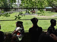 Visitors gather to see an albino buffalo nicknamed after U.S. President Donald Trump, that recently went viral and was spared from sacrifice ahead of Eid al-Adha, after it was moved to the Bangladesh National Zoo for public display, in Dhaka, Banglad