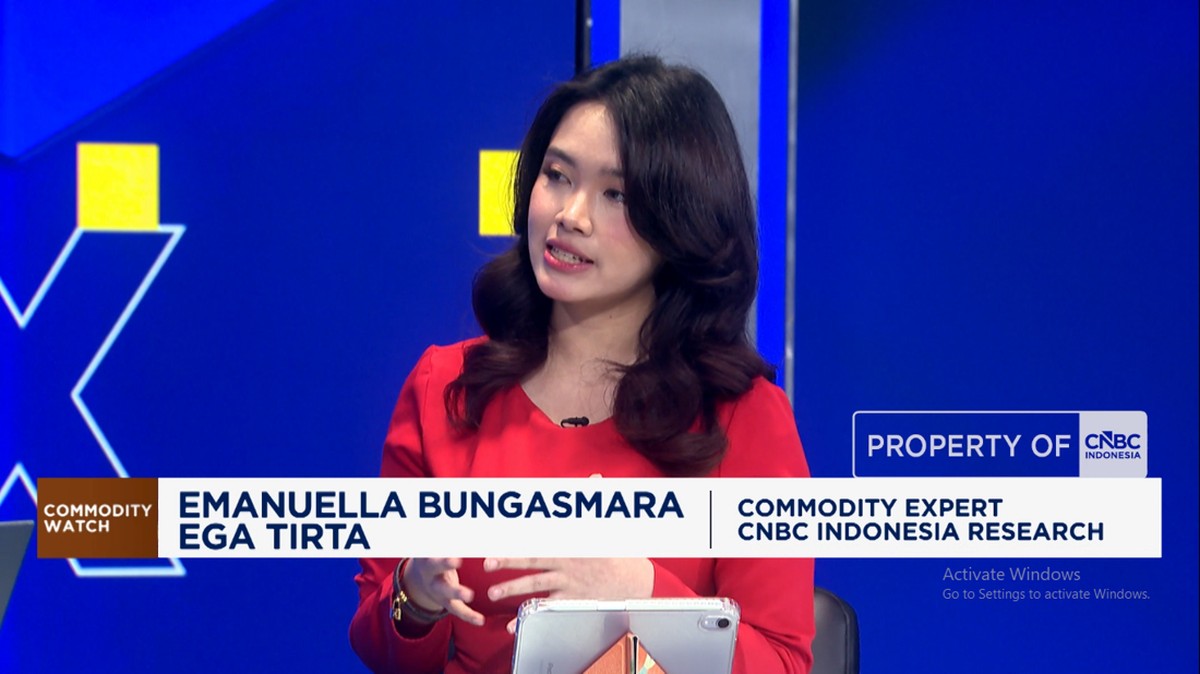 Video: Arah Batu Bara RI Hadapi Gelombang Panas Asia- Peresmian PT DSI