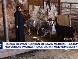 Harga Hewan Kurban di Gaza Meroket Tajam
