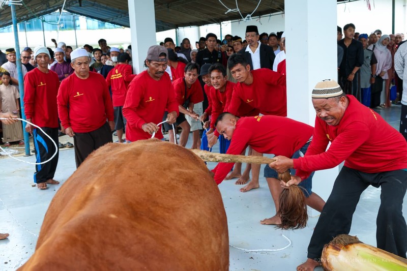 Otorita IKN untuk pertama kalinya menyelenggarakan Salat Iduladha 1447 Hijriah/2026 Masehi di Masjid Negara IKN dan dilanjutkan penyerahan hewan kurban pada Rabu (27/5/2026). (Humas Otorita Ibu Kota Nusantara )
