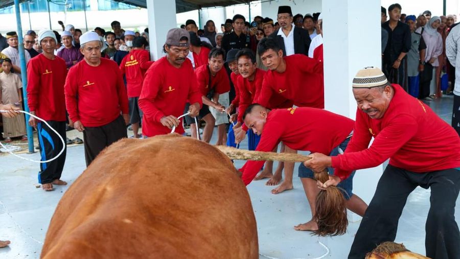 Otorita IKN untuk pertama kalinya menyelenggarakan Salat Iduladha 1447 Hijriah/2026 Masehi di Masjid Negara IKN dan dilanjutkan penyerahan hewan kurban pada Rabu (27/5/2026). (Humas Otorita Ibu Kota Nusantara )