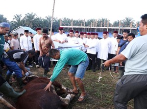Polda Riau Salurkan Sapi Kurban Kapolri dan Kapolda ke Ponpes UAS
