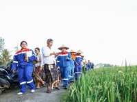 Dok Pertamina