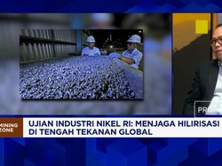 Hadapi Tantangan BerlapisDari Dalam & Luar Negeri, Pengusaha Nikel Hadapi Kondisi "Sulit"