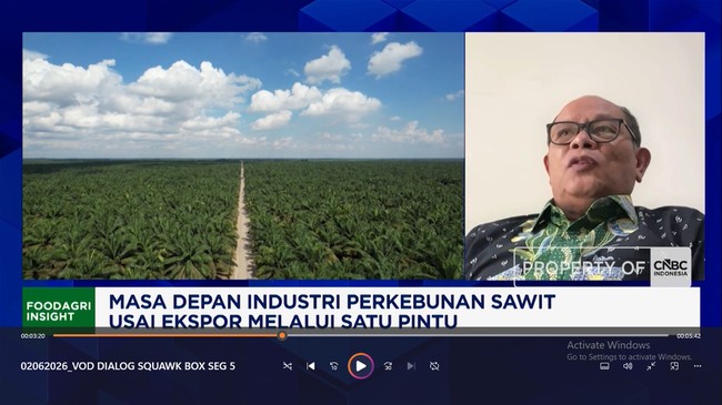 Video: Perkuat Kinerja PT DSI, Petani dan Pengusaha Sawit Usul Hal Ini