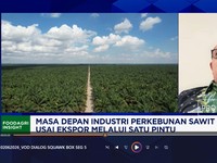 Awasi & Perkuat Kinerja PT DSI, Petani & Pengusaha Sawit Usul Hal Ini