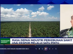 Awasi & Perkuat Kinerja PT DSI, Petani & Pengusaha Sawit Usul Hal Ini