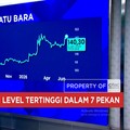 Harga Batu Bara Sentuh Lever Tertinggi dalam 7 Pekan - Harga Emas Anjlok