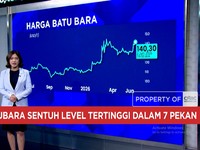 Harga Batu Bara Sentuh Lever Tertinggi dalam 7 Pekan - Harga Emas Anjlok