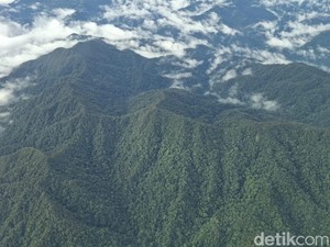5 Fakta Menarik Kalimantan Utara, Provinsi Muda yang Ulang Tahun 25 Oktober