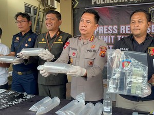Polisi Gagalkan Pengiriman 47.872 Benih Lobster asal Banten di Jambi