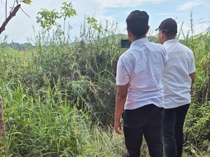 Pilu Bocah Kutim Ditemukan Tewas di Semak-semak Usai Hilang 2 Hari