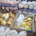 Aneka buah impor yang dijual di Pasar Senen, Jakarta Pusat pada Rabu (3/6/2026). (CNBC Indonesia/Chandra Dwi Pranata)