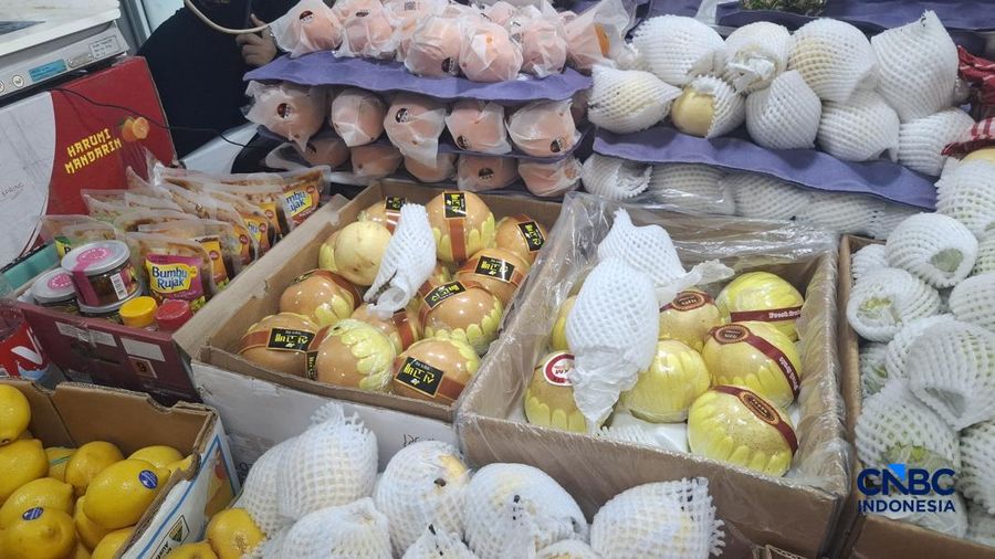 Aneka buah impor yang dijual di Pasar Senen, Jakarta Pusat pada Rabu (3/6/2026). (CNBC Indonesia/Chandra Dwi Pranata)