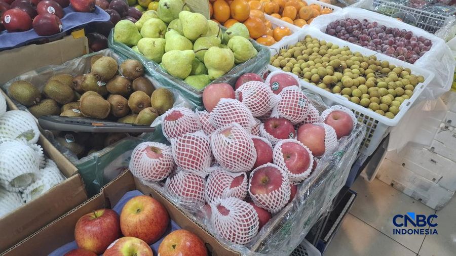Aneka buah impor yang dijual di Pasar Senen, Jakarta Pusat pada Rabu (3/6/2026). (CNBC Indonesia/Chandra Dwi Pranata)