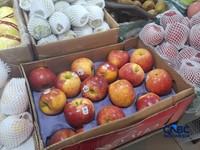 Aneka buah impor yang dijual di Pasar Senen, Jakarta Pusat pada Rabu (3/6/2026). (CNBC Indonesia/Chandra Dwi Pranata)