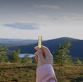 Para pelancong dapat berburu emas di bawah matahari tengah malam di Levi, Lapland Finlandia. (Dok. Levi)