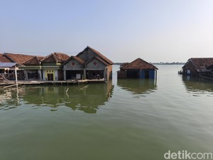 Hybrid Sea Wall Bakal Dibangun di Sayung Demak Sepanjang 900 Meter